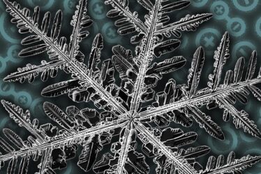 Geometric fractals of snowflake