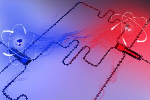 Two superconducting qubits acting as giant artificial atoms.