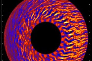 Snapshot from a computer simulation showing a cross-section of the plasma inside a tokamak reactor.