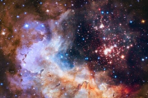 Image of the cluster Westerlund 2, an obscured compact young star cluster in the Milky Way, and its surroundings.