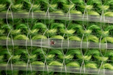 digital fibers on green fabric