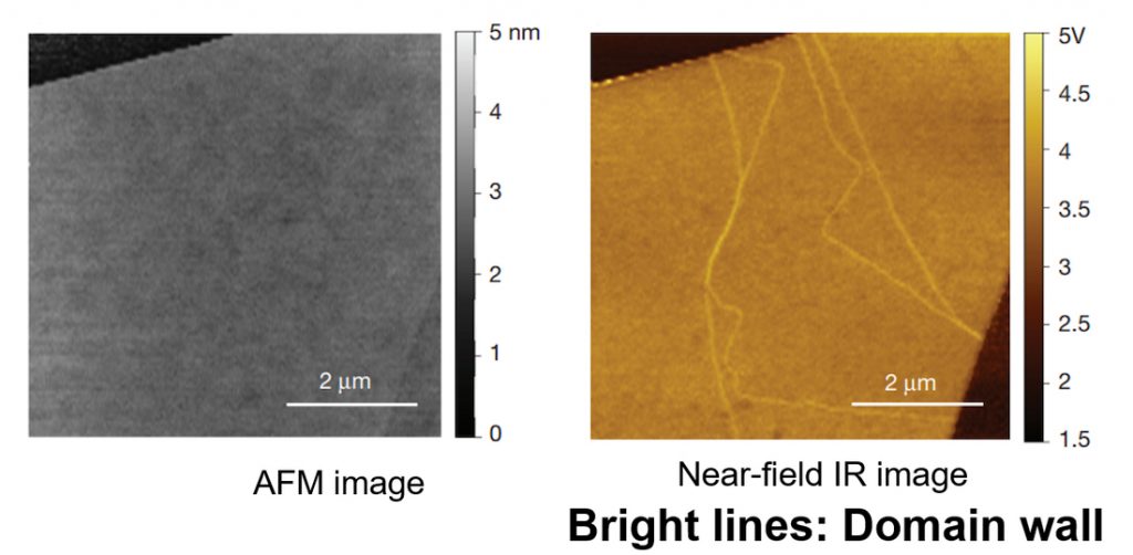 Left is AFM image. Right is Near-field IR image.