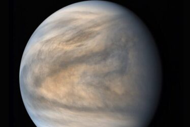 A photo of Venus in false color, painting it a swirling cool brown, with light blue hues at the north and south poles.