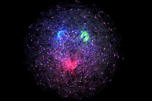 An illustration of the proton with red, blue, and green quarks and lines