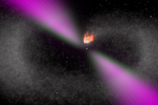 illustrated view of a black widow pulsar