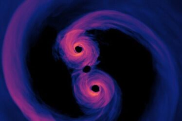 computer simulation of supermassive black holes only 40 orbits from merging