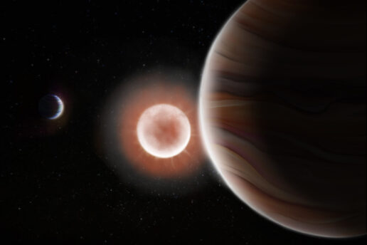 artist's rendition of the two planets and star in the TOI-4600 system