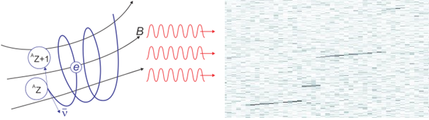 Electrons emitted in radioactive beta decay in a magnetic field create radio waves or microwaves, which are then picked up by antennas to learn about the decay process and the particles they produce.