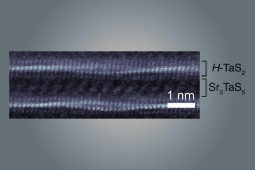 Transmission electron micrograph graphic