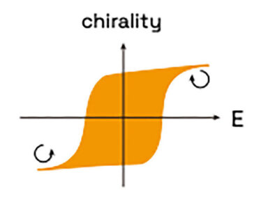 Schematics of a multiferroic hysteresis loop.