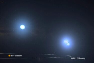 stellar orbit comparison graphic