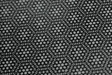 one graphene lattice rotates above another