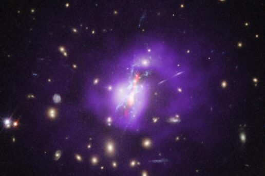 A deep space image showing a central bright galaxy surrounded by a hazy purple glow, with numerous smaller galaxies and stars scattered throughout the dark background.